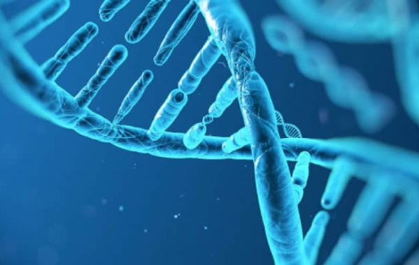 La conduzione dei Trials Clinici