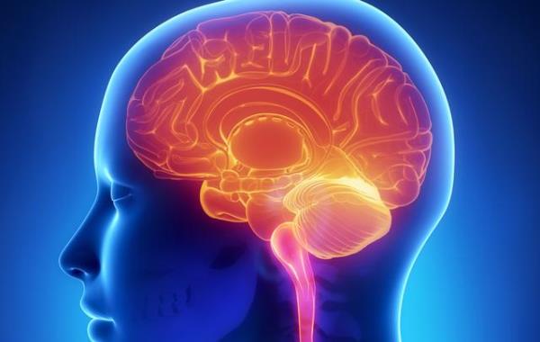 Polytrauma Patient With Traumatic Brain Injury (Tbi)