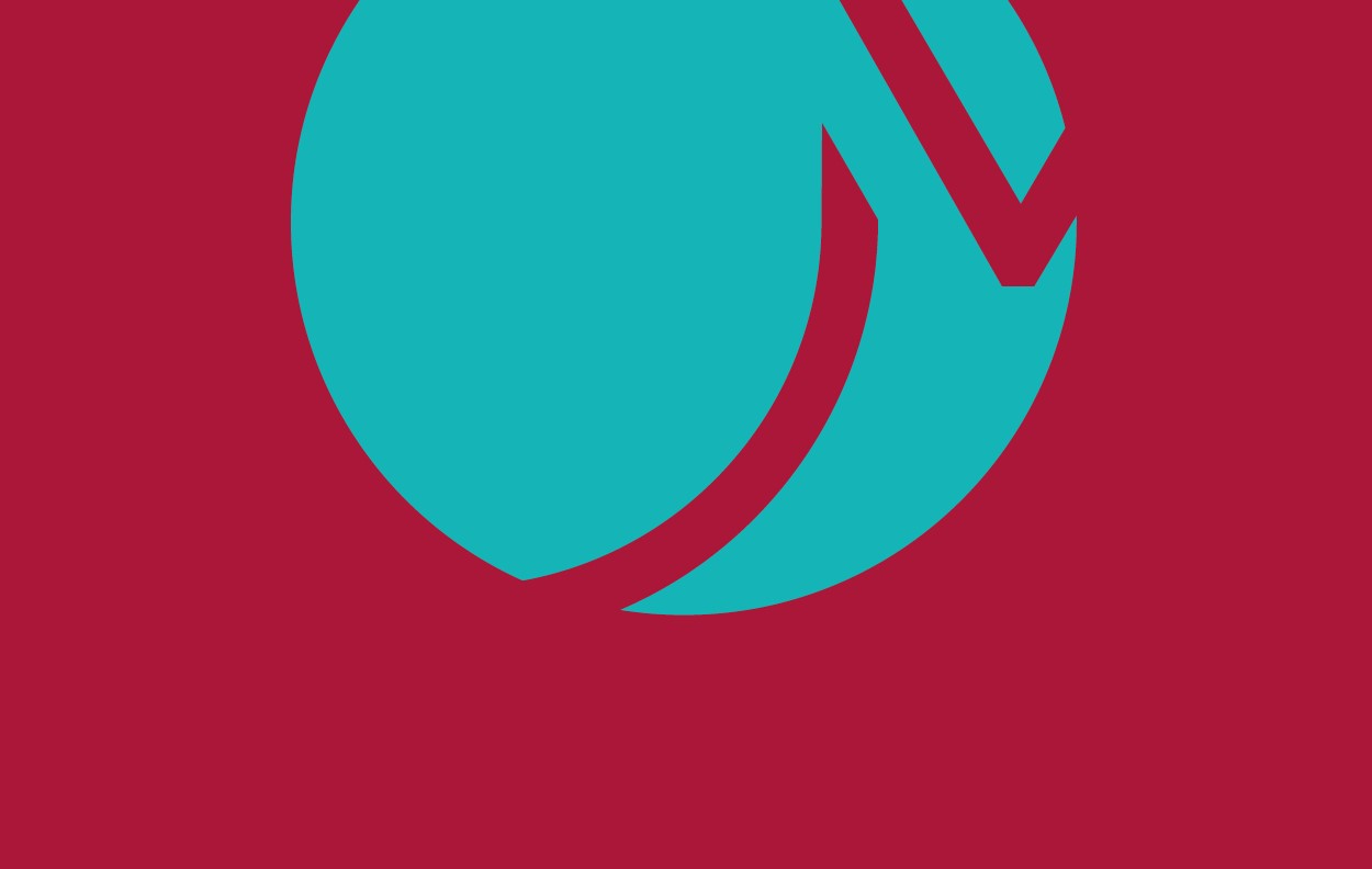 Papa Giovanni e FROM Due ali per la Ricerca